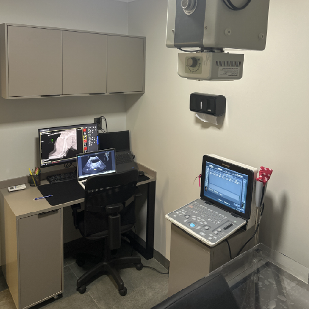 Raio-x Planeta Animal