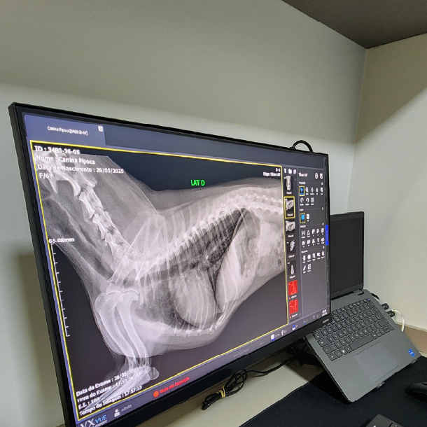 Raio-x Planeta Animal