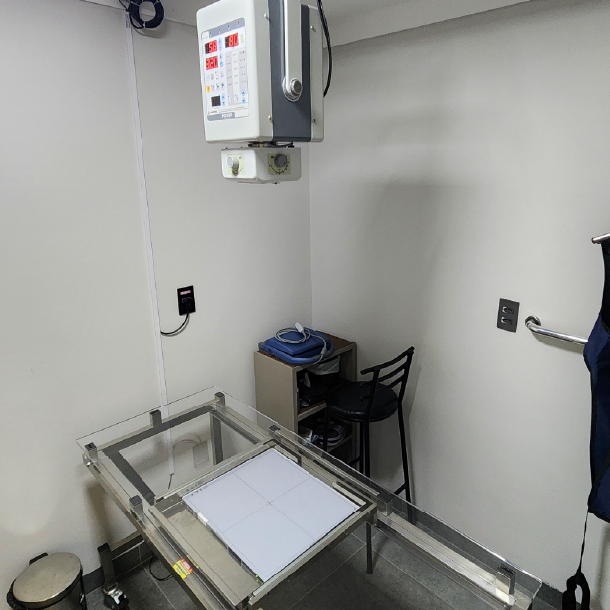 Raio-x Planeta Animal