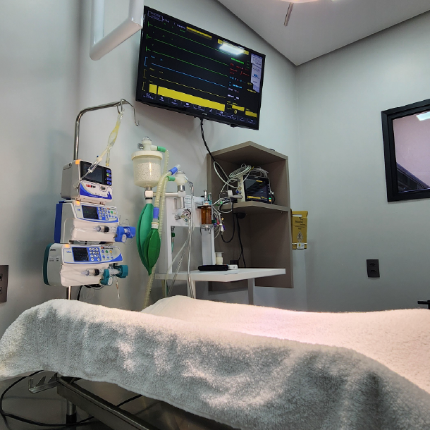 Sala de cirurgia Planeta Animal